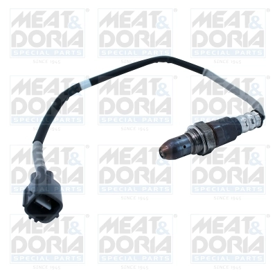 Oxygen Sensor